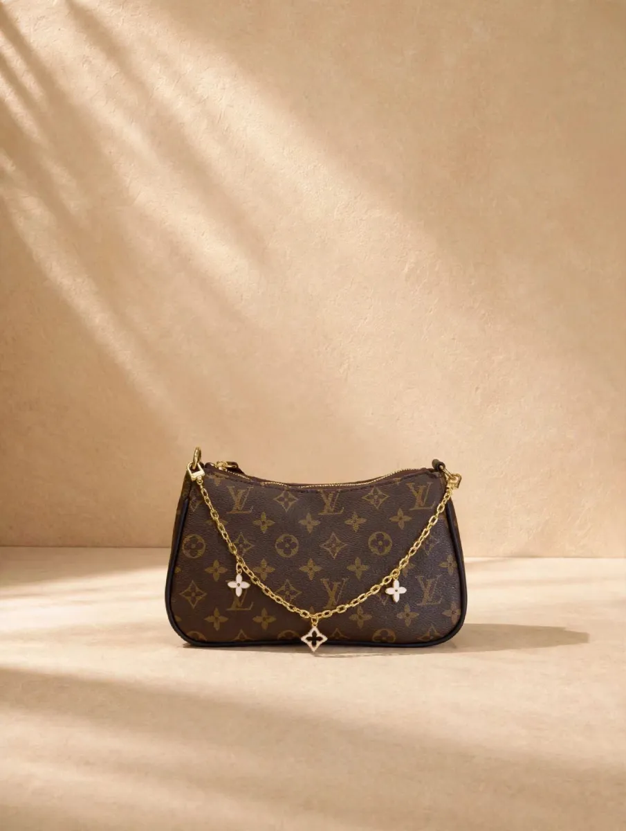 Charmé Multicolor Chain Shoulder Ba
